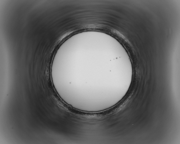 X0000086251025200704191838