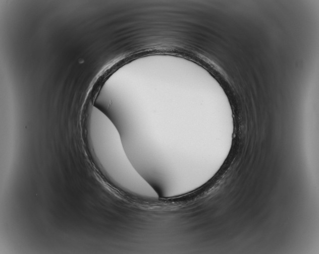 X0000086251026200704191838