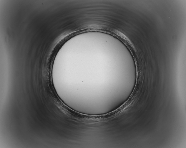 X0000086251027200704191838