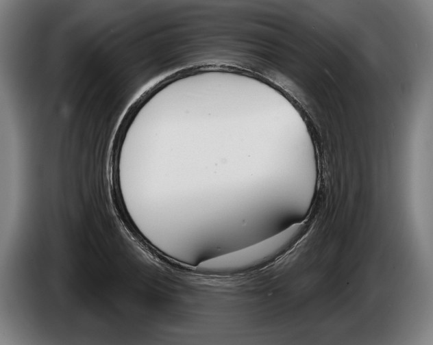 X0000086251028200704191838