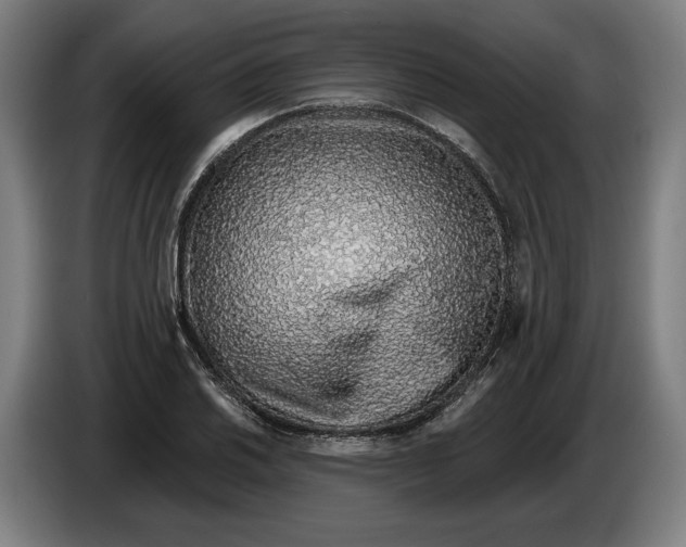 X0000086251030200704191838