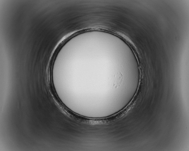 X0000086251032200704191838
