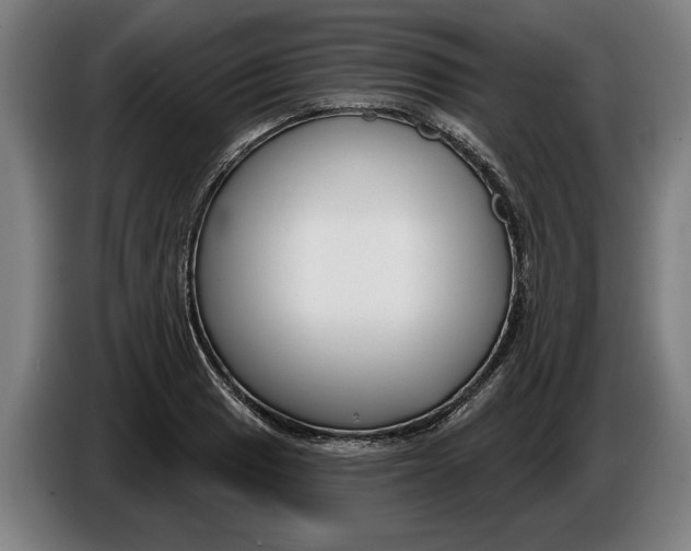 X0000086251033200704191838