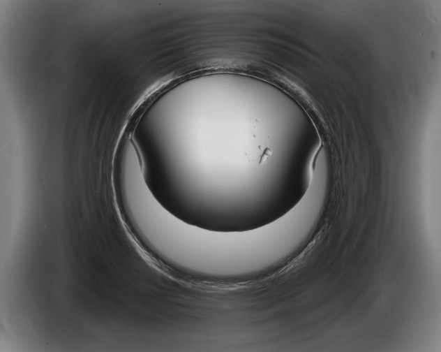 X0000086251034200704191838
