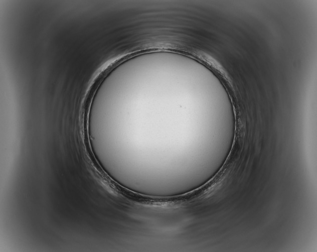 X0000086251035200704191838