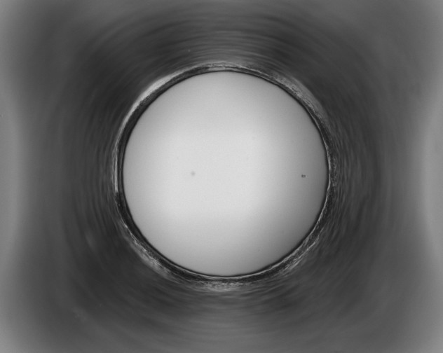 X0000086251036200704191838