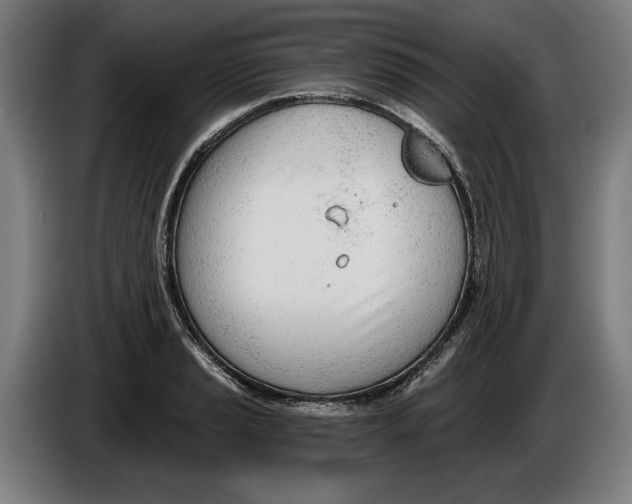 X0000086251037200704191838