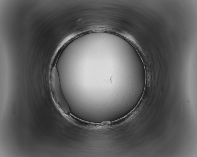 X0000086251038200704191838