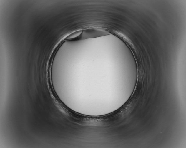 X0000086251039200704191838