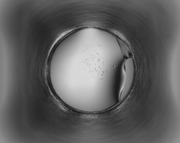 X0000086251040200704191838