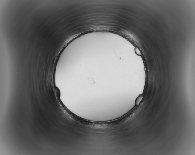 X0000086251041200704191838
