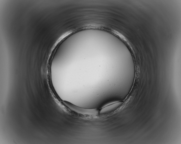 X0000086251042200704191838