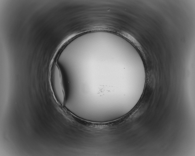 X0000086251043200704191838