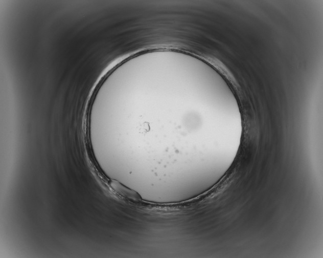 X0000086251044200704191838