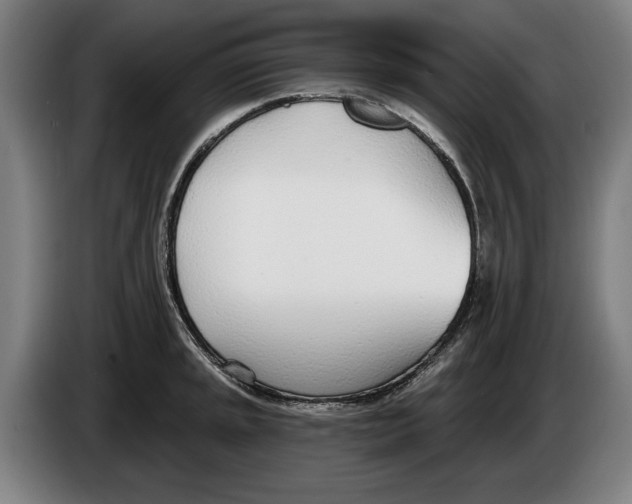 X0000086251045200704191838