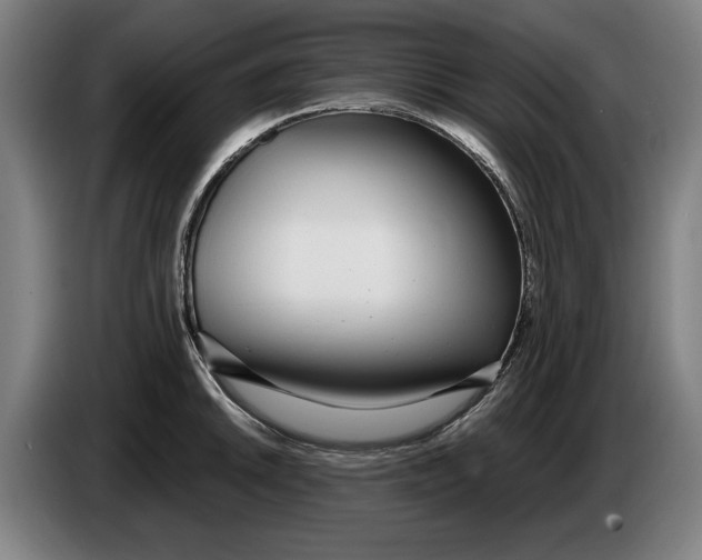 X0000086251046200704191838
