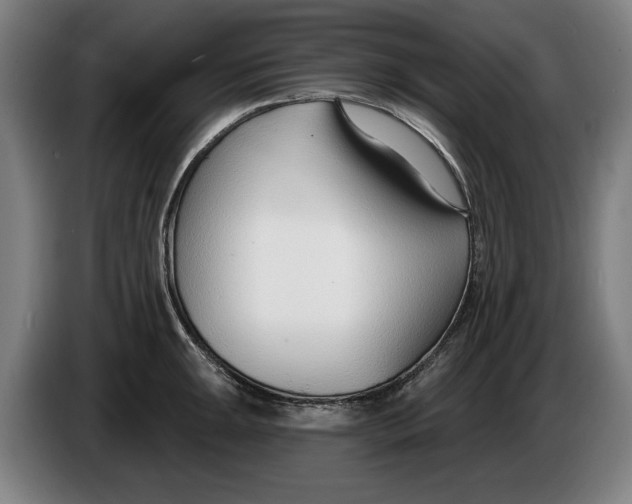X0000086251047200704191838