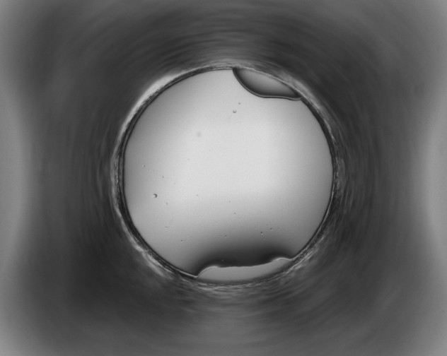 X0000086251048200704191838