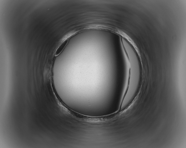X0000086251049200704191838