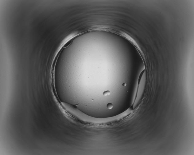 X0000086251050200704191838