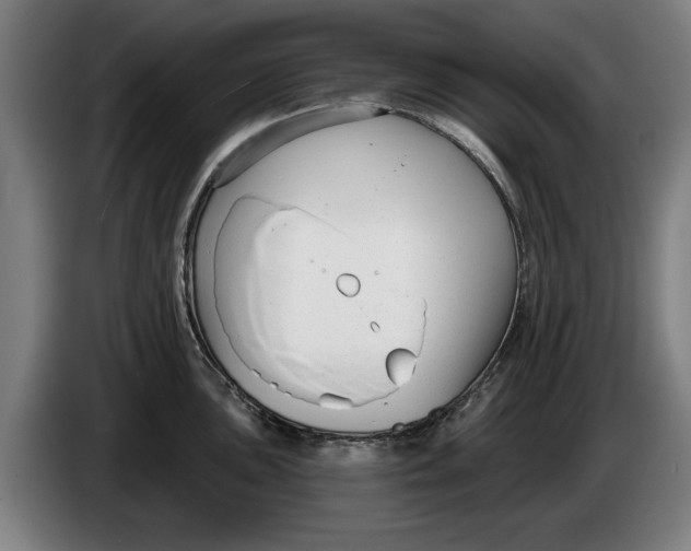 X0000086251051200704191838