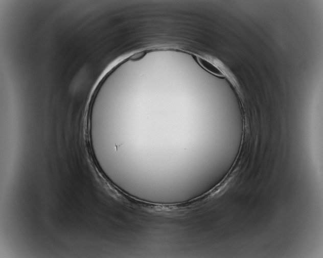X0000086251052200704191838