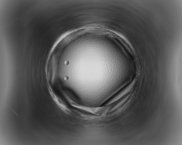 X0000086251054200704191838