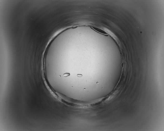 X0000086251055200704191838
