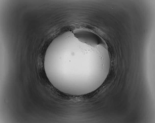 X0000086251058200704191838