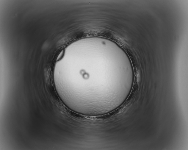 X0000086251059200704191838