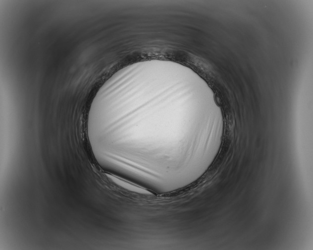 X0000086251060200704191838