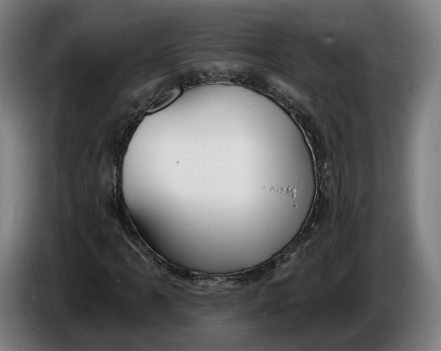 X0000086251061200704191838