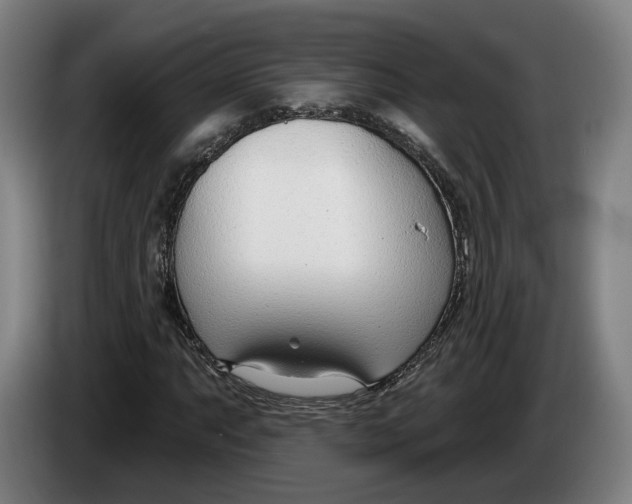 X0000086251063200704191838