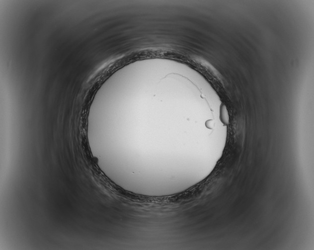 X0000086251064200704191838