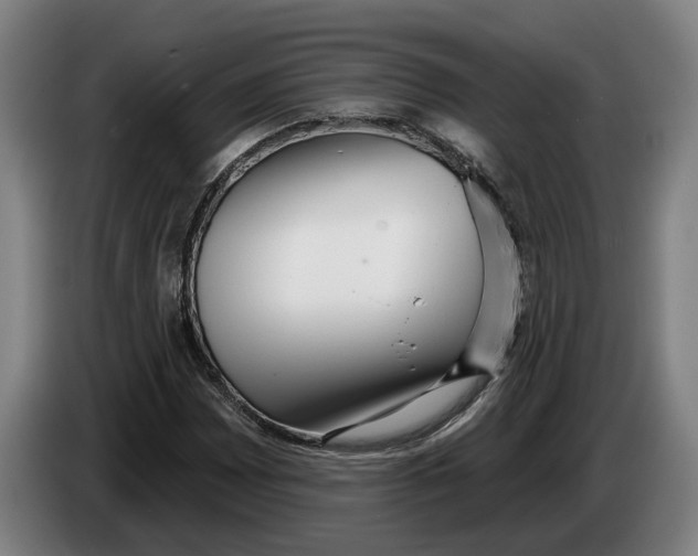 X0000086251065200704191838