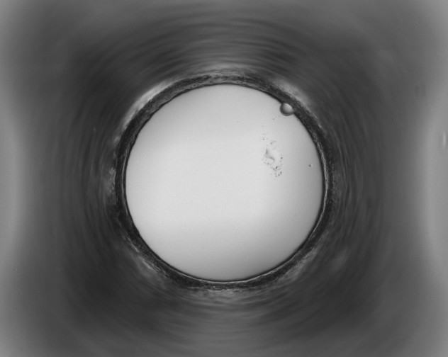 X0000086251066200704191838