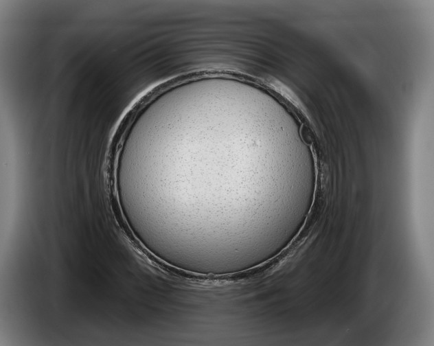 X0000086251068200704191838