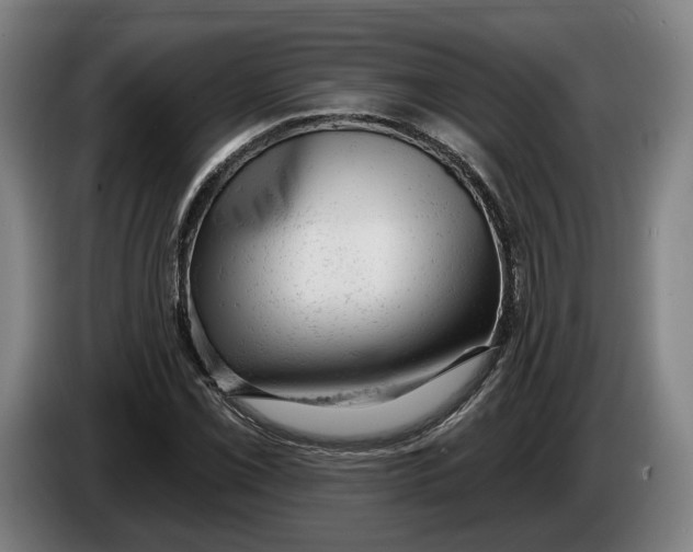 X0000086251069200704191838