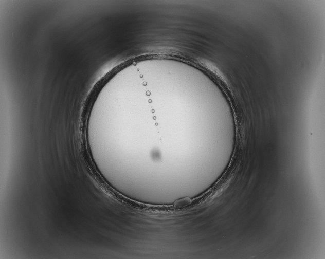 X0000086251071200704191837