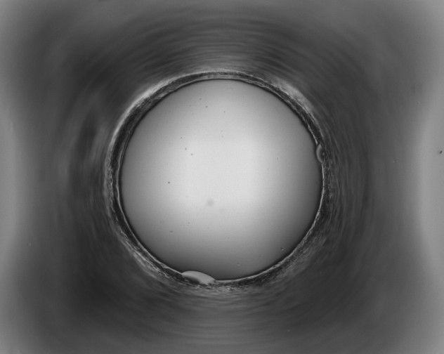 X0000086251072200704191837