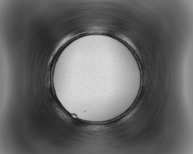 X0000086251075200704191837
