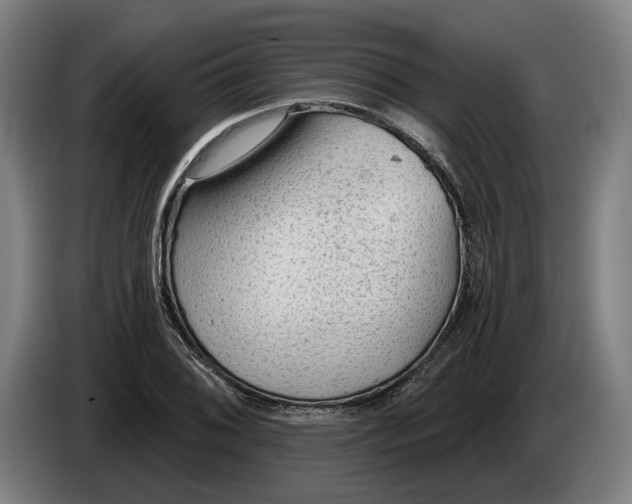 X0000086251076200704191837