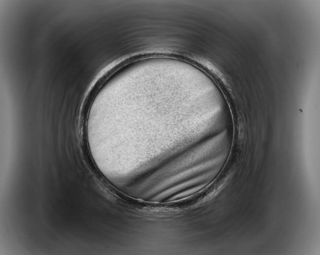 X0000086251077200704191837