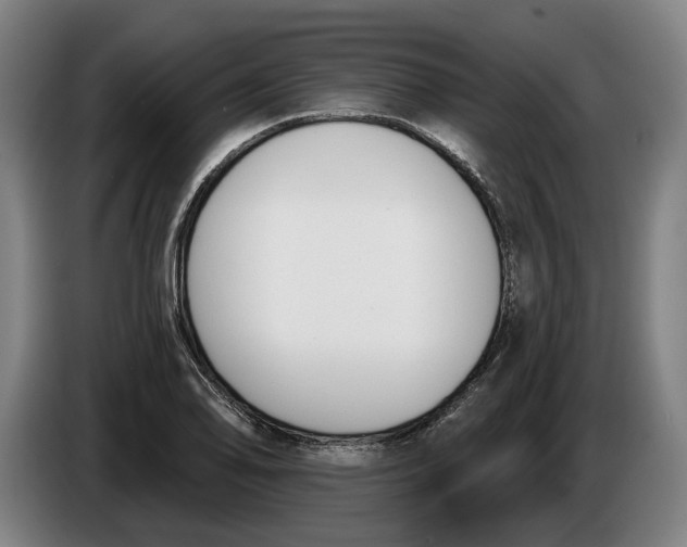 X0000086251078200704191837
