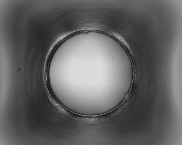 X0000086251080200704191837