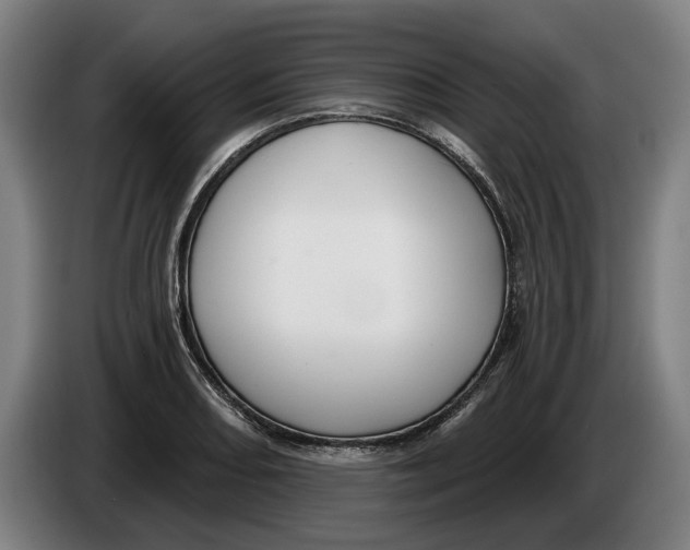 X0000086251082200704191837