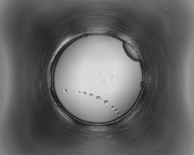 X0000086251083200704191837