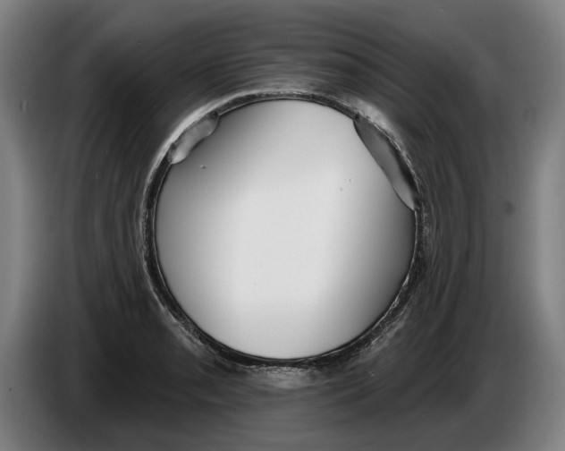 X0000086251085200704191837