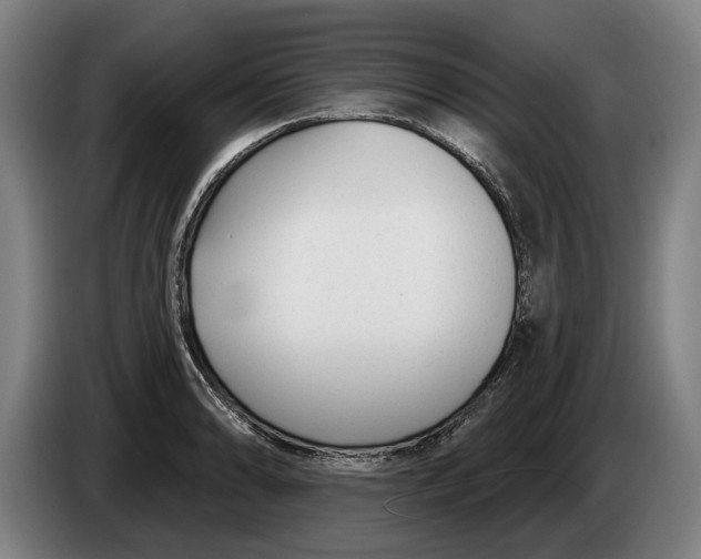 X0000086251086200704191837