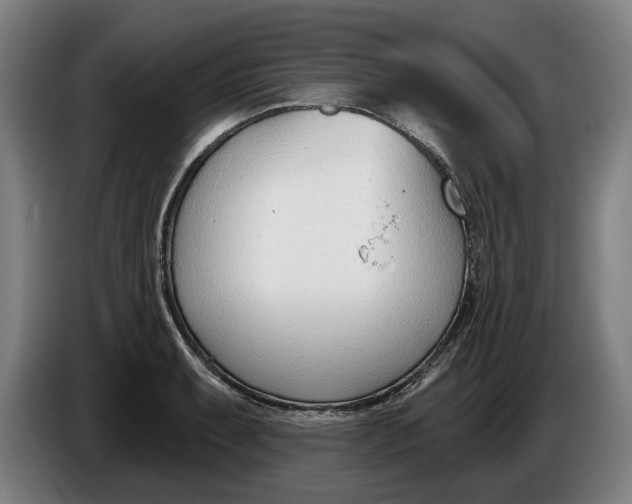 X0000086251087200704191837